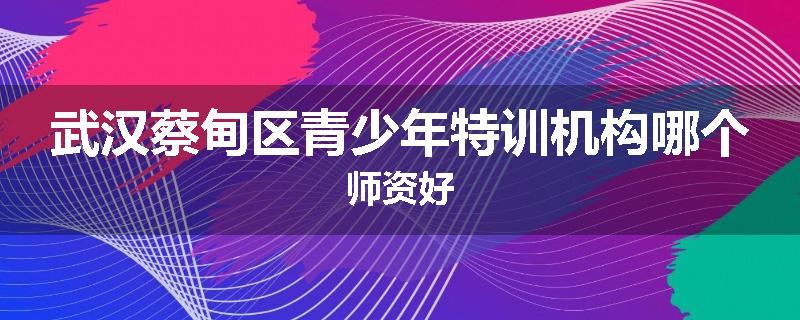 武汉蔡甸区青少年特训机构哪个师资好