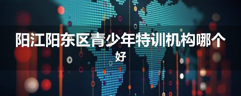 阳江阳东区青少年特训机构哪个好