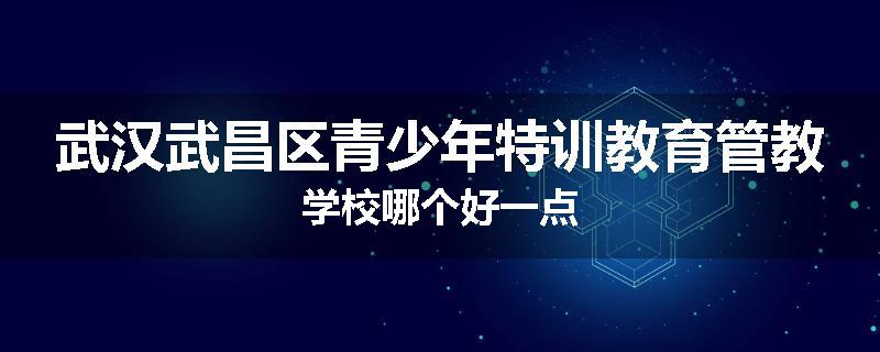 武汉武昌区青少年特训教育管教学校哪个好一点