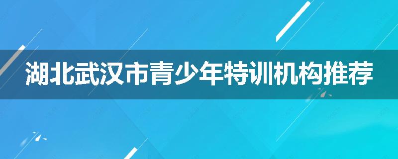 湖北武汉市青少年特训机构推荐
