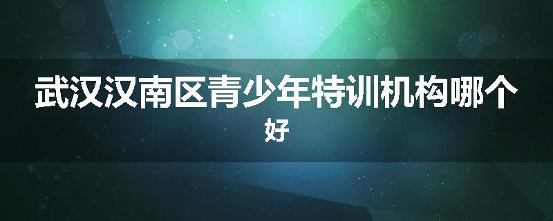 武汉汉南区青少年特训机构哪个好