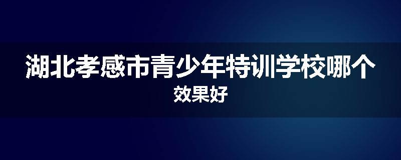 湖北孝感市青少年特训学校哪个效果好