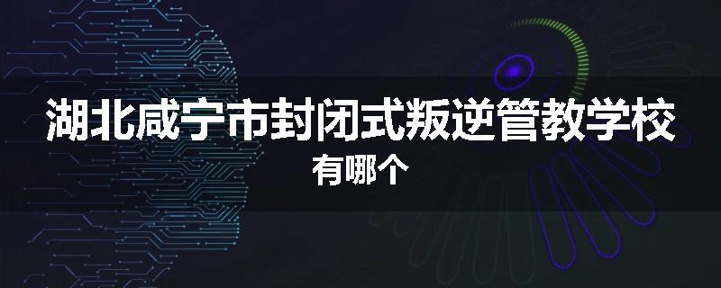 湖北咸宁市封闭式叛逆管教学校有哪个