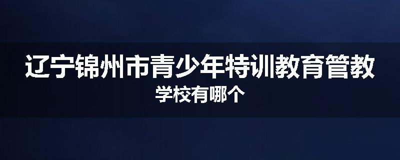 辽宁锦州市青少年特训教育管教学校有哪个