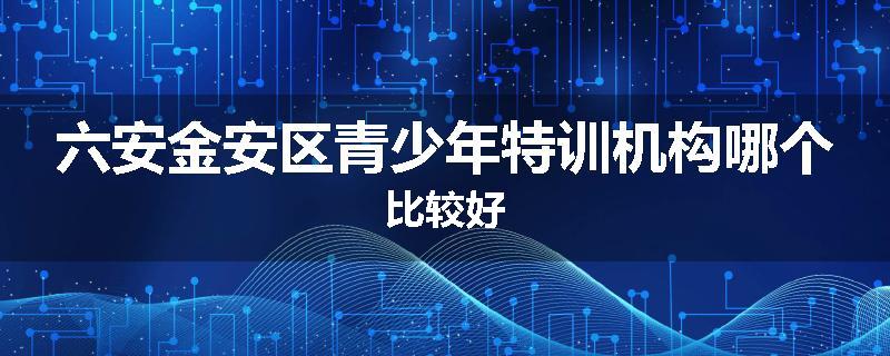 六安金安区青少年特训机构哪个比较好