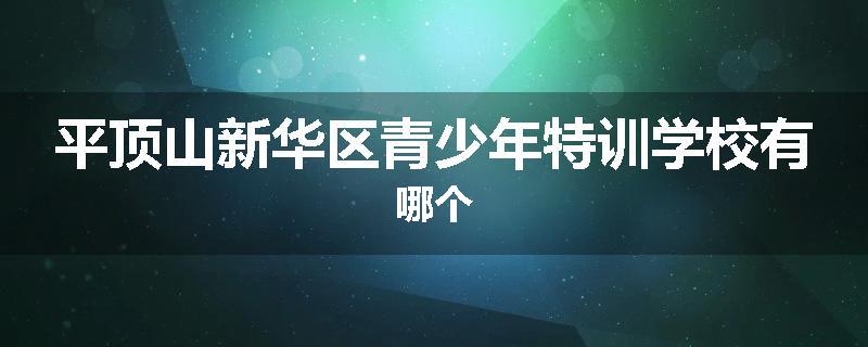平顶山新华区青少年特训学校有哪个