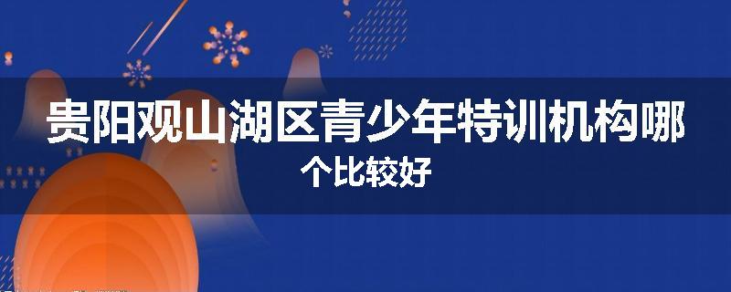 贵阳观山湖区青少年特训机构哪个比较好