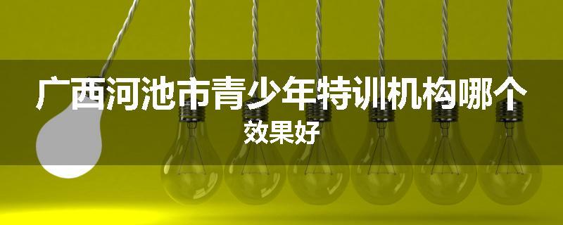 广西河池市青少年特训机构哪个效果好