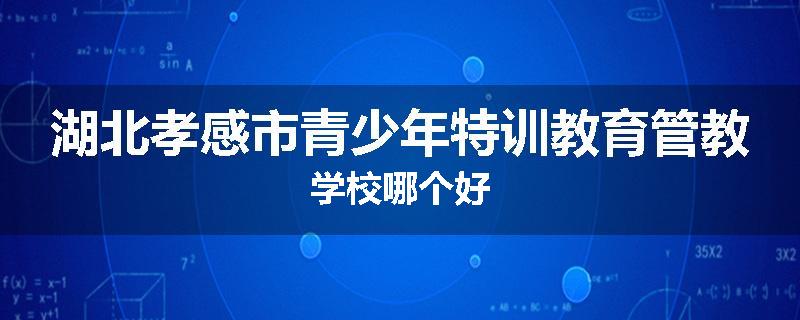 湖北孝感市青少年特训教育管教学校哪个好