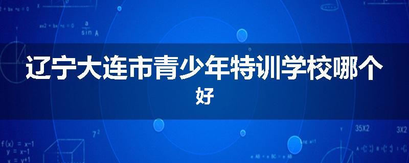 辽宁大连市青少年特训学校哪个好