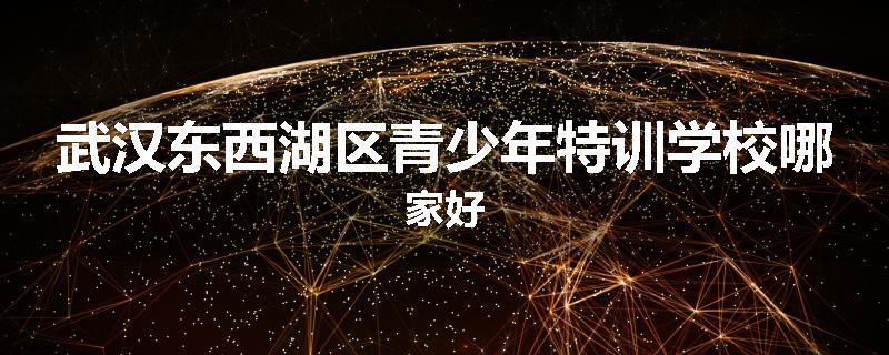 武汉东西湖区青少年特训学校哪家好