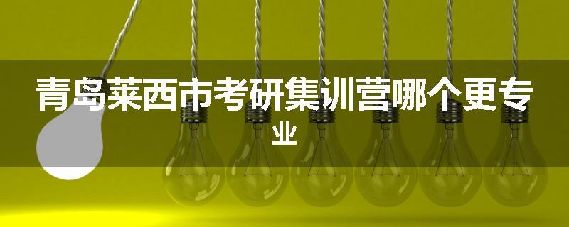 青岛莱西市考研集训营哪个更专业