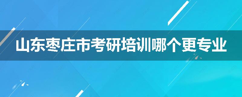 山东枣庄市考研培训哪个更专业