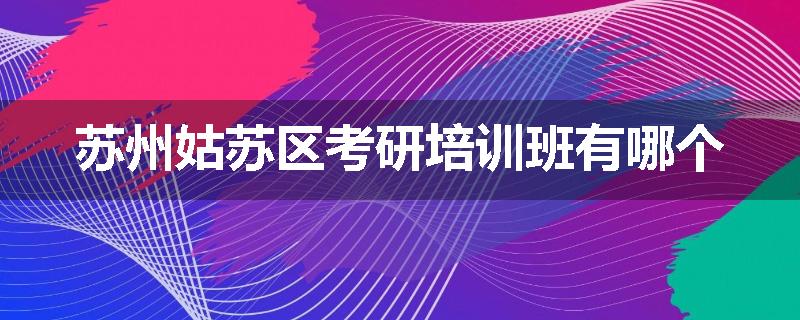 苏州姑苏区考研培训班有哪个