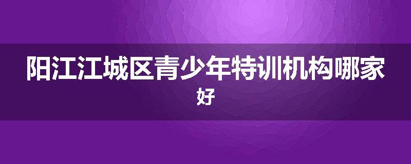 阳江江城区青少年特训机构哪家好