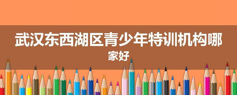 武汉东西湖区青少年特训机构哪家好