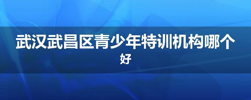 武汉武昌区青少年特训机构哪个好