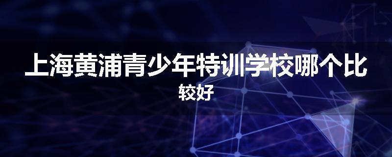 上海黄浦青少年特训学校哪个比较好