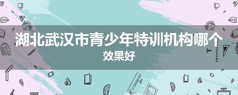 湖北武汉市青少年特训机构哪个效果好