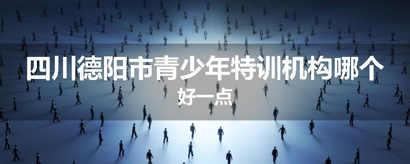 四川德阳市青少年特训机构哪个好一点