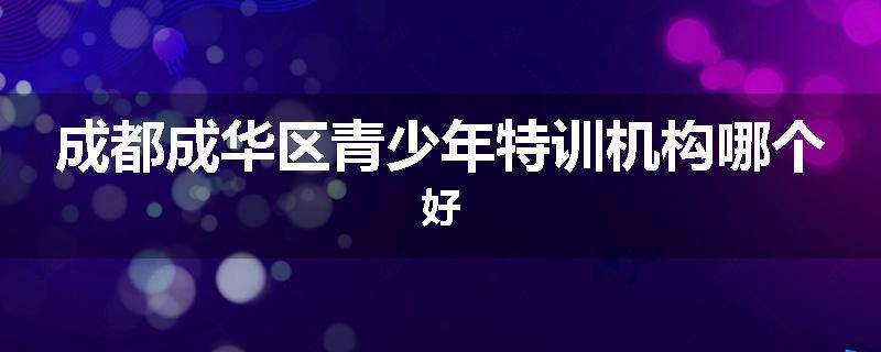 成都成华区青少年特训机构哪个好