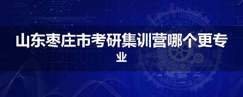 山东枣庄市考研集训营哪个更专业