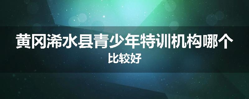 黄冈浠水县青少年特训机构哪个比较好
