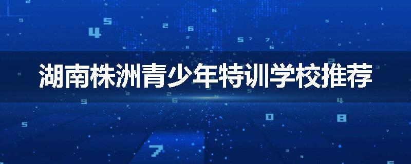 湖南株洲青少年特训学校推荐