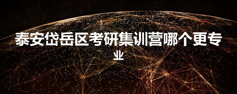 泰安岱岳区考研集训营哪个更专业