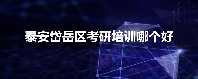 泰安岱岳区考研培训哪个好
