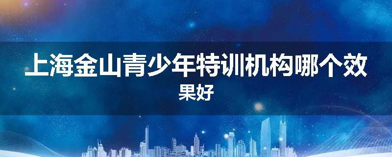 上海金山青少年特训机构哪个效果好