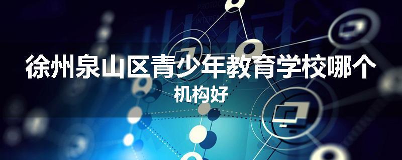 徐州泉山区青少年教育学校哪个机构好