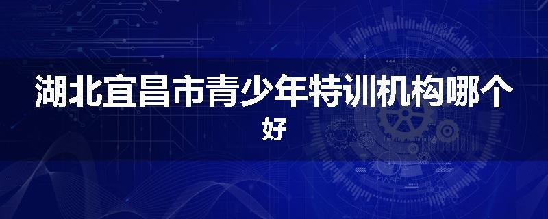 湖北宜昌市青少年特训机构哪个好