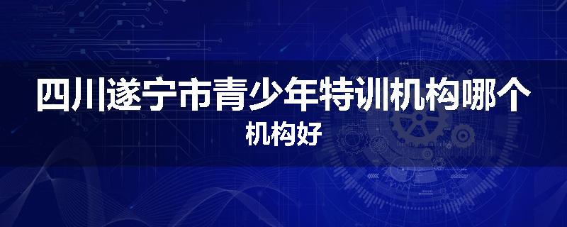 四川遂宁市青少年特训机构哪个机构好