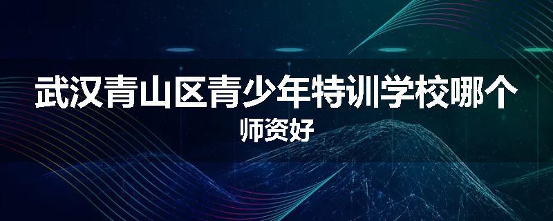 武汉青山区青少年特训学校哪个师资好
