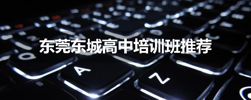 东莞东城高中培训班推荐