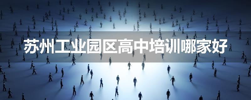 苏州工业园区高中培训哪家好