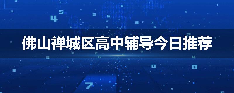 佛山禅城区高中辅导今日推荐