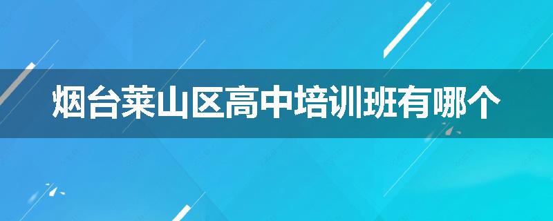 烟台莱山区高中培训班有哪个