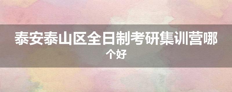 泰安泰山区全日制考研集训营哪个好