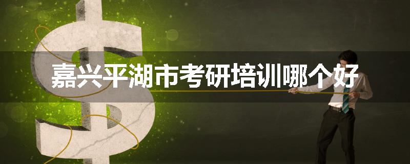 嘉兴平湖市考研培训哪个好