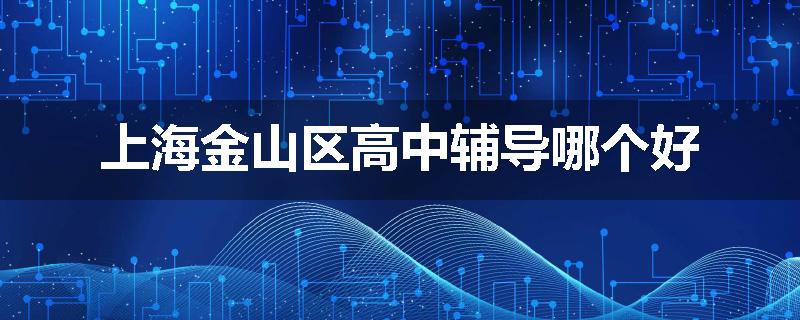 上海金山区高中辅导哪个好
