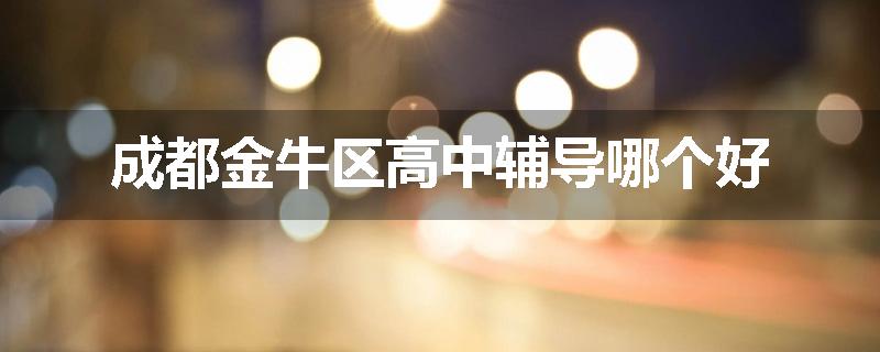 成都金牛区高中辅导哪个好