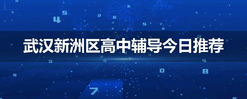 武汉新洲区高中辅导今日推荐