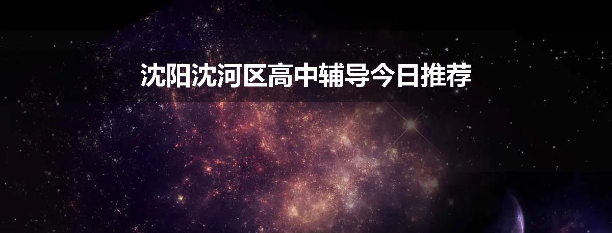 沈阳沈河区高中辅导今日推荐