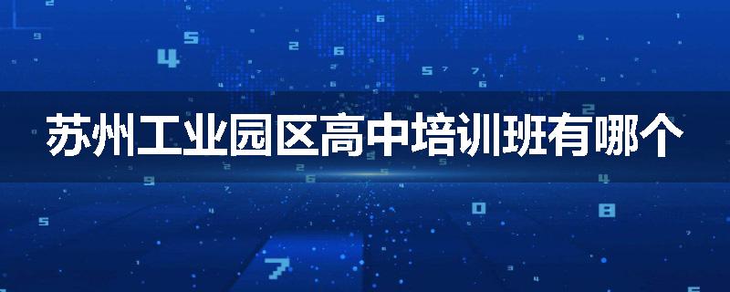 苏州工业园区高中培训班有哪个