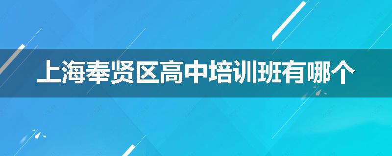 上海奉贤区高中培训班有哪个