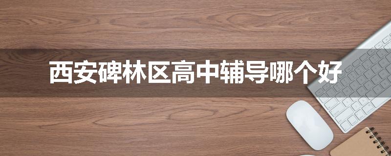 西安碑林区高中辅导哪个好