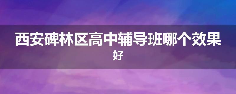 西安碑林区高中辅导班哪个效果好