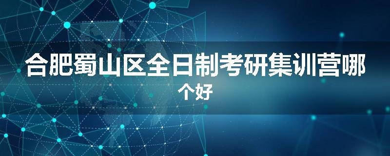 合肥蜀山区全日制考研集训营哪个好